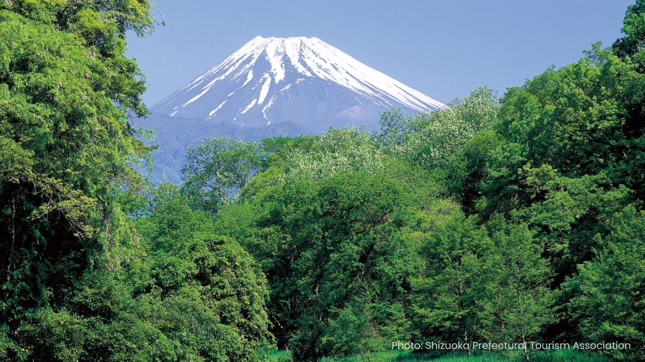 Direct City-to-City Access