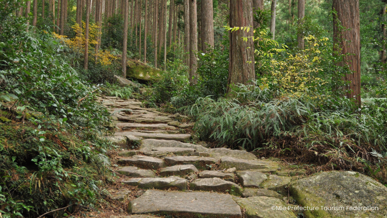 Direct City-to-City Access