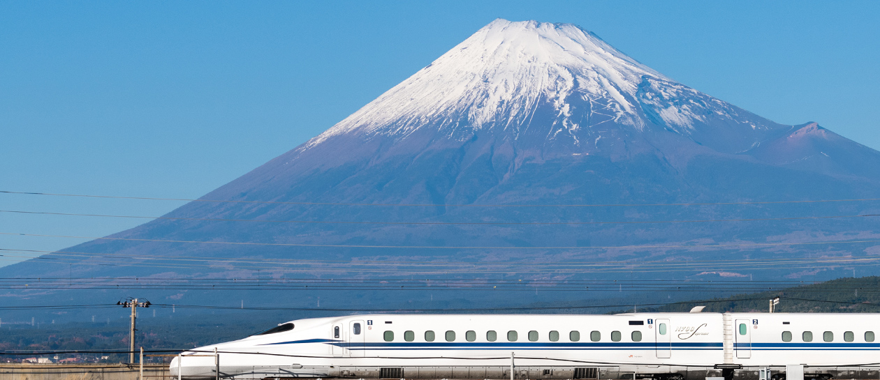 Can You Take Luggage on Bullet Train? 