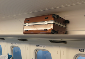 Overhead best sale luggage rack