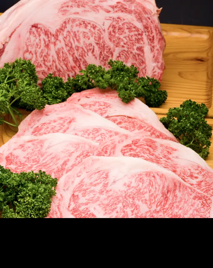 Hida Beef