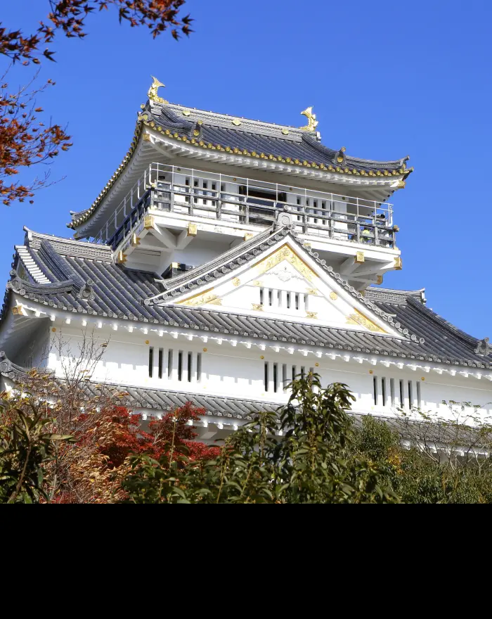 Gifu Castle
