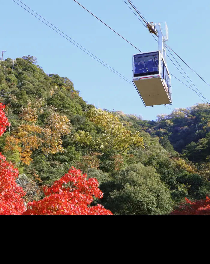 Mt. Kinka