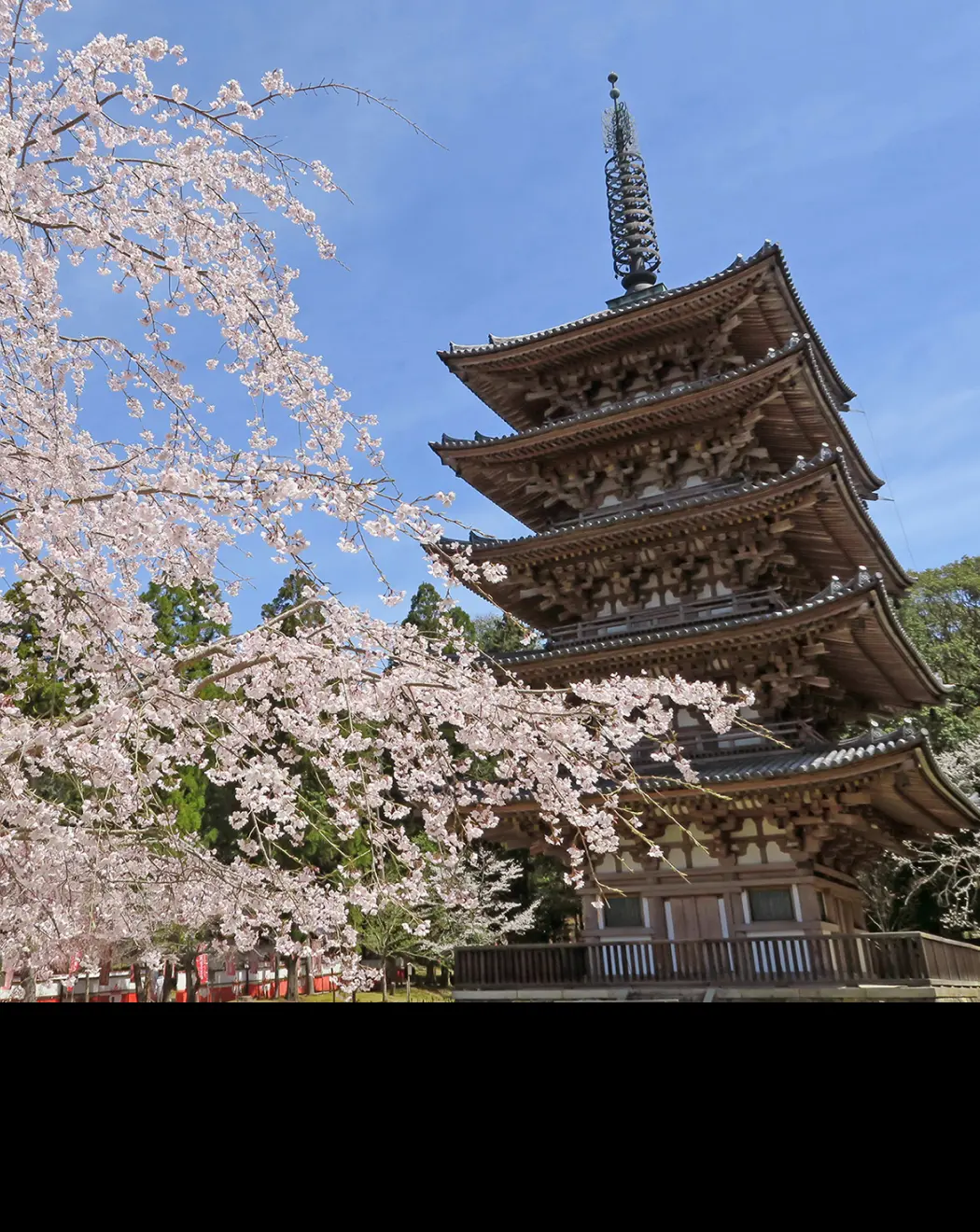 Daigoji Temple