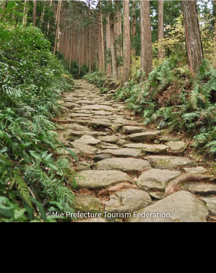 Kumano Kodo