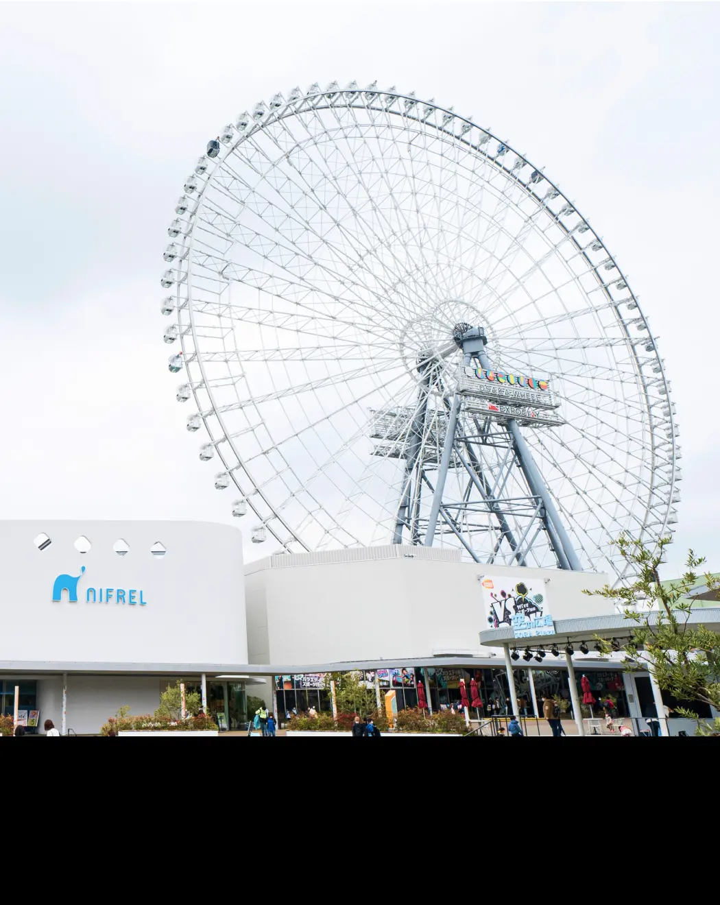 Redhorse Osaka Wheel