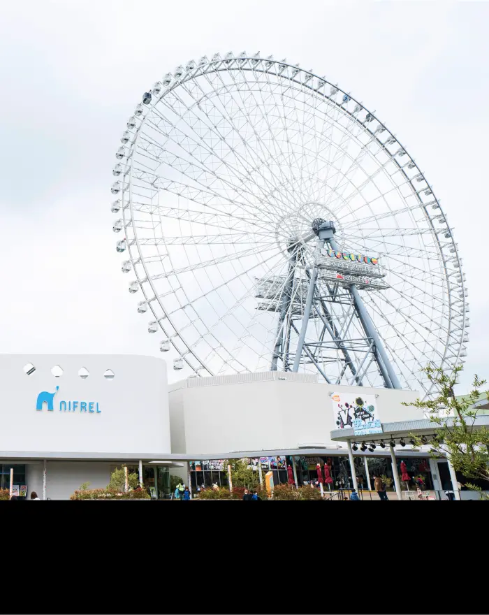 Redhorse Osaka Wheel