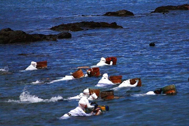 Demonstration of Ama Divers (women shell divers)