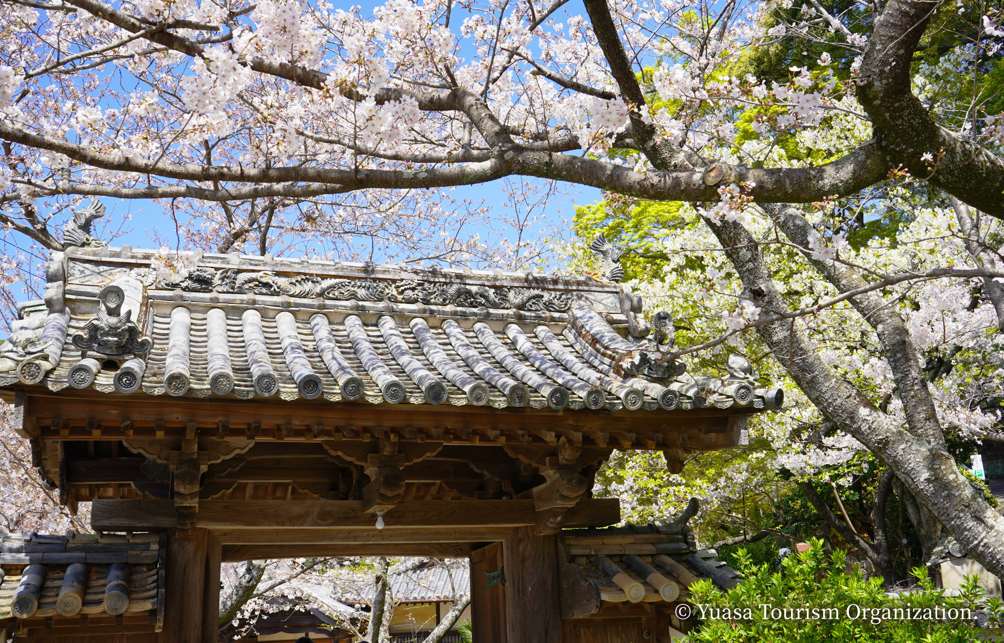 施無畏寺